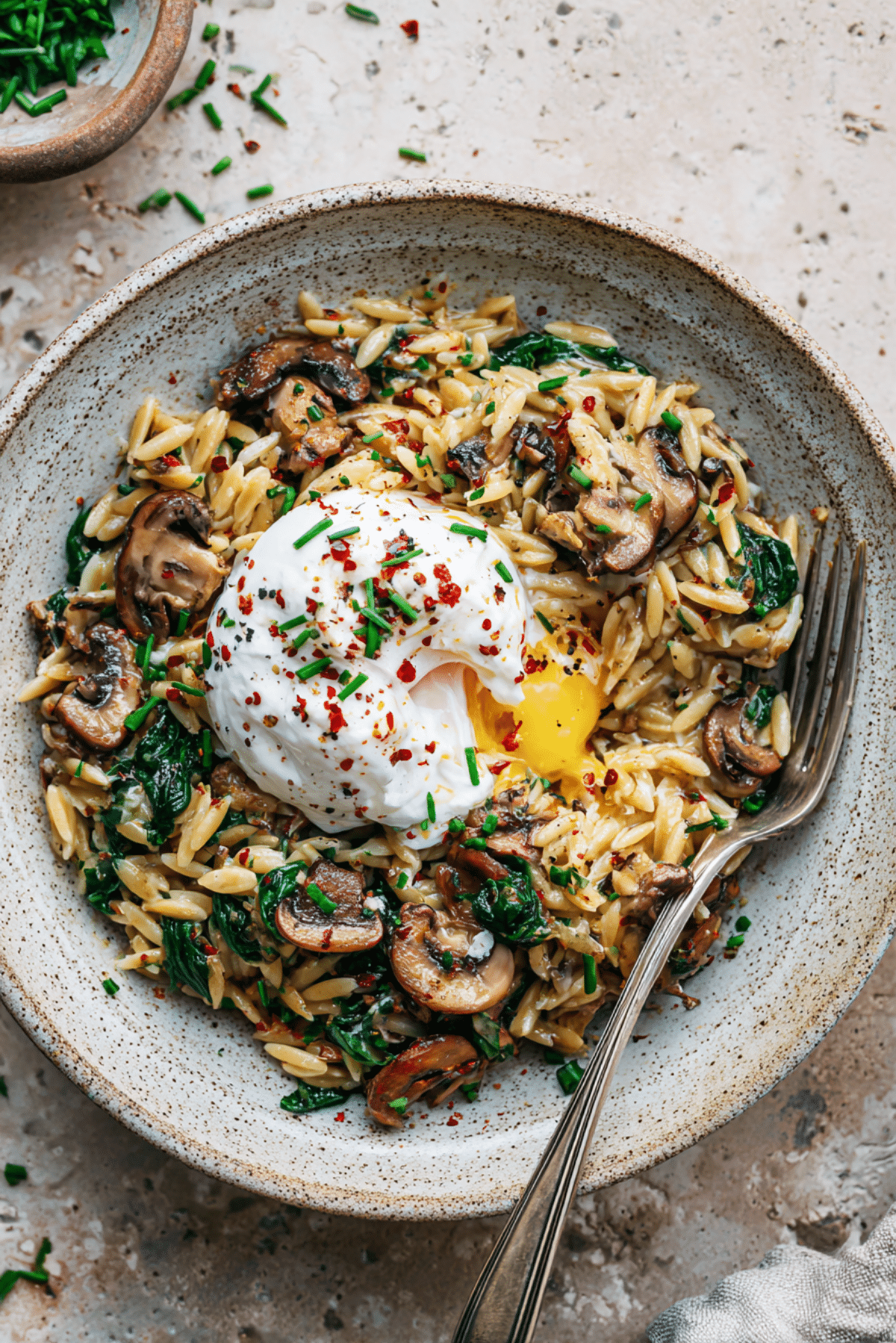 Creamy Mushroom Orzo with Burrata