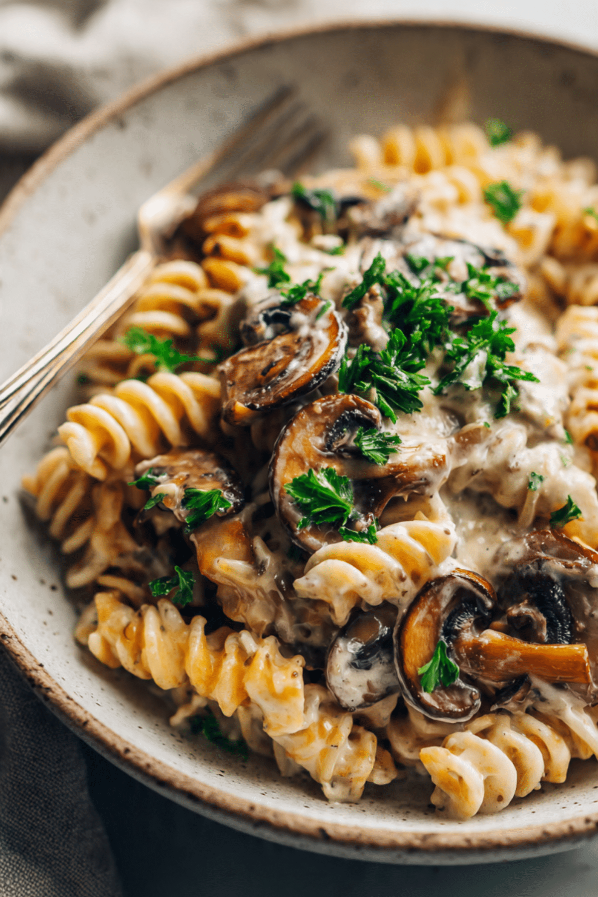 Mushroom Stroganoff Pasta