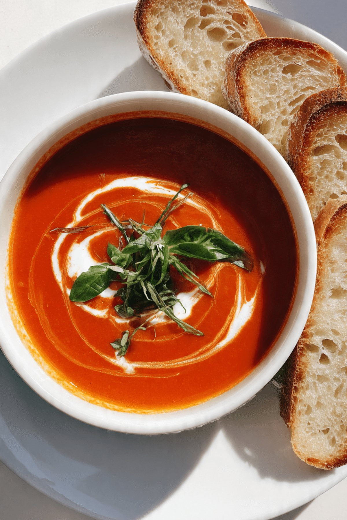 Tomato Basil Soup Recipe