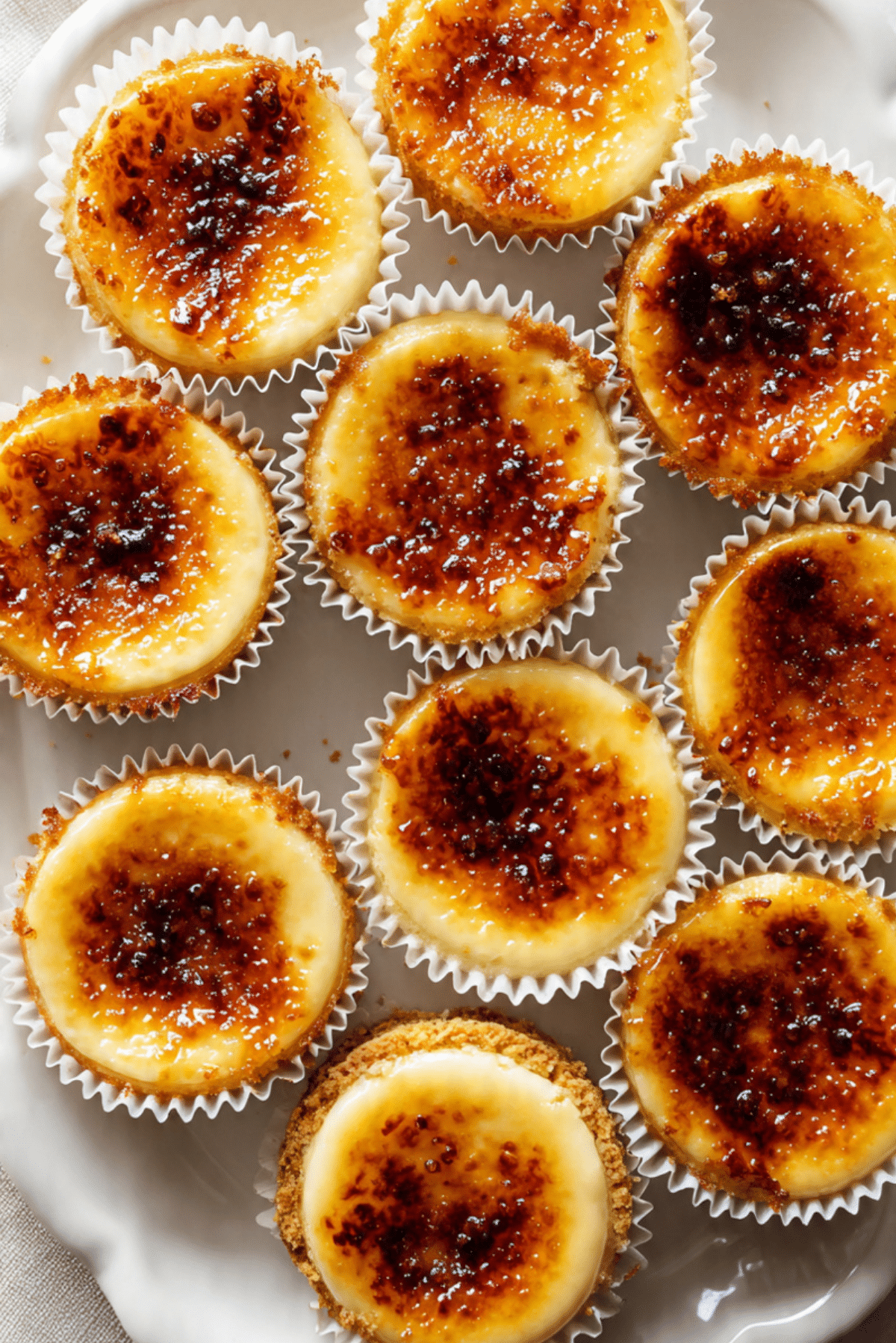 Mini Crème Brûlée Cheesecakes