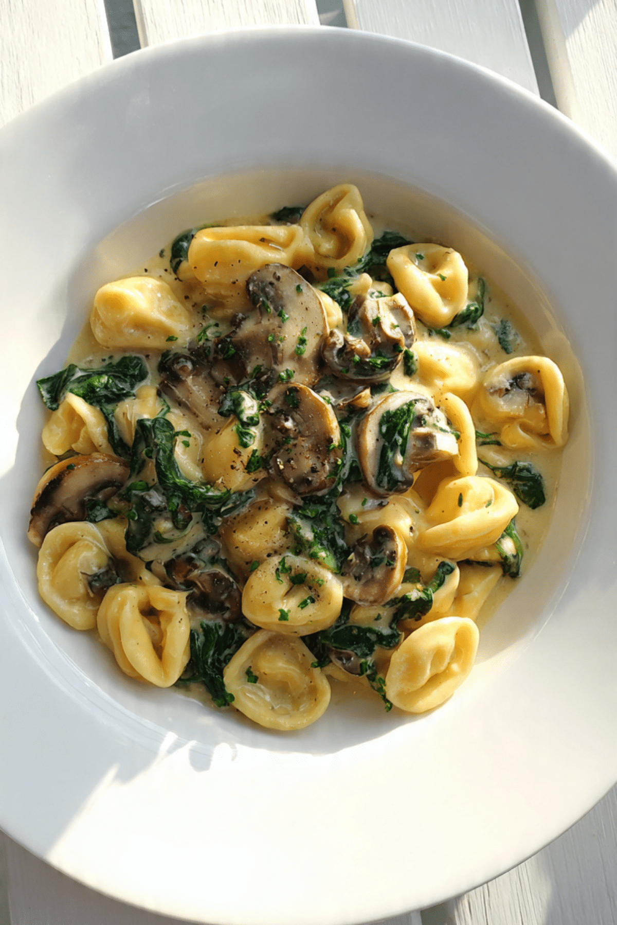 Creamy pasta with spinach & mushroom